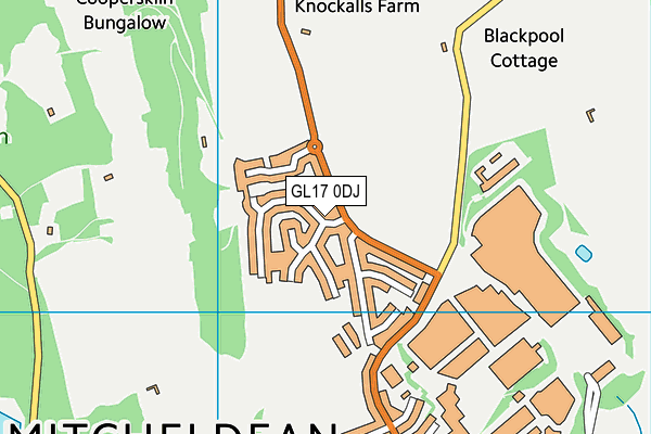 GL17 0DJ map - OS VectorMap District (Ordnance Survey)