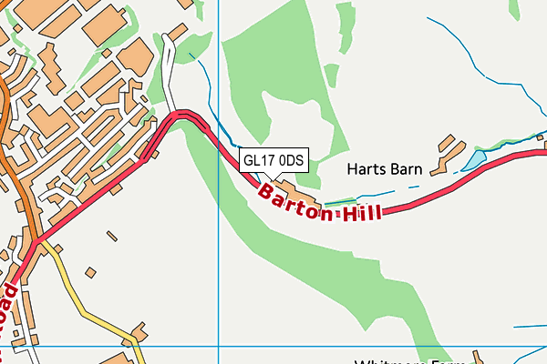 GL17 0DS map - OS VectorMap District (Ordnance Survey)