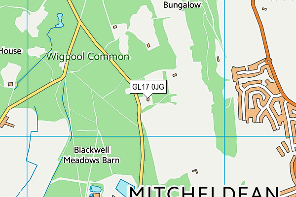 GL17 0JG map - OS VectorMap District (Ordnance Survey)