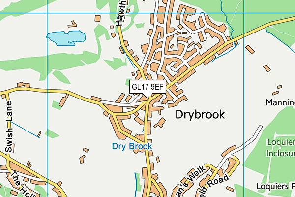 GL17 9EF map - OS VectorMap District (Ordnance Survey)