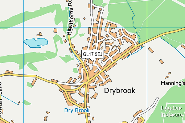 GL17 9EJ map - OS VectorMap District (Ordnance Survey)