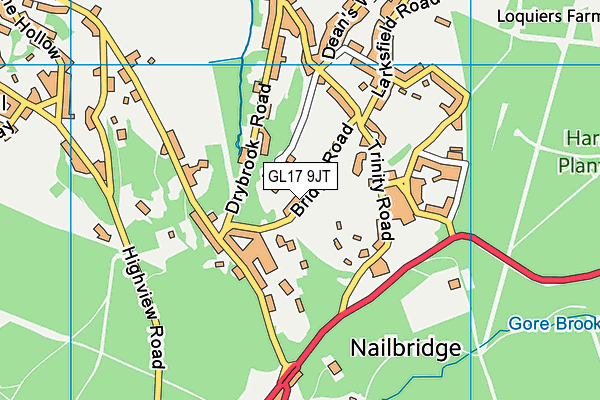 GL17 9JT map - OS VectorMap District (Ordnance Survey)