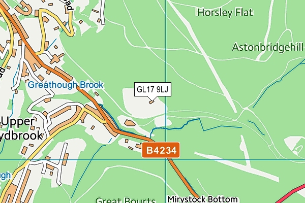 GL17 9LJ map - OS VectorMap District (Ordnance Survey)