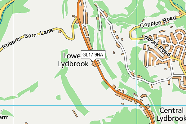 GL17 9NA map - OS VectorMap District (Ordnance Survey)