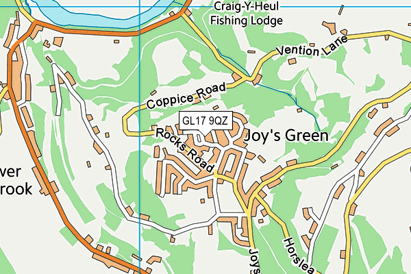 GL17 9QZ map - OS VectorMap District (Ordnance Survey)