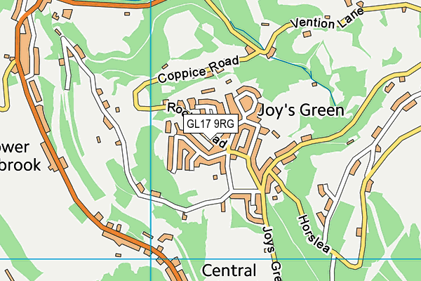 GL17 9RG map - OS VectorMap District (Ordnance Survey)