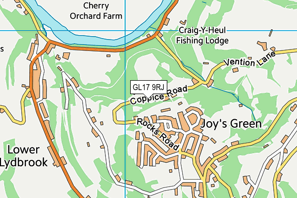 GL17 9RJ map - OS VectorMap District (Ordnance Survey)