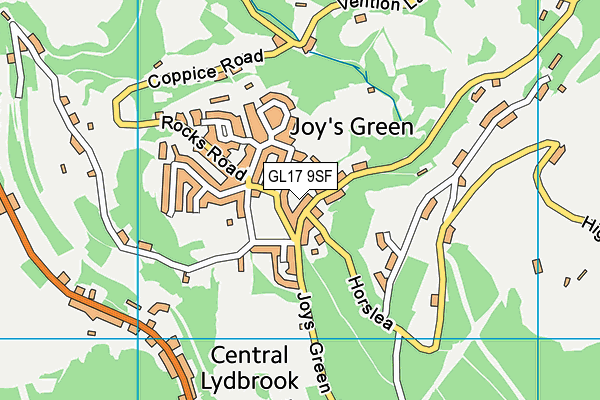 GL17 9SF map - OS VectorMap District (Ordnance Survey)