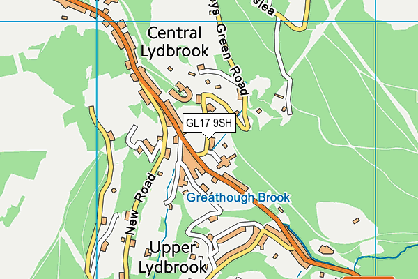 GL17 9SH map - OS VectorMap District (Ordnance Survey)