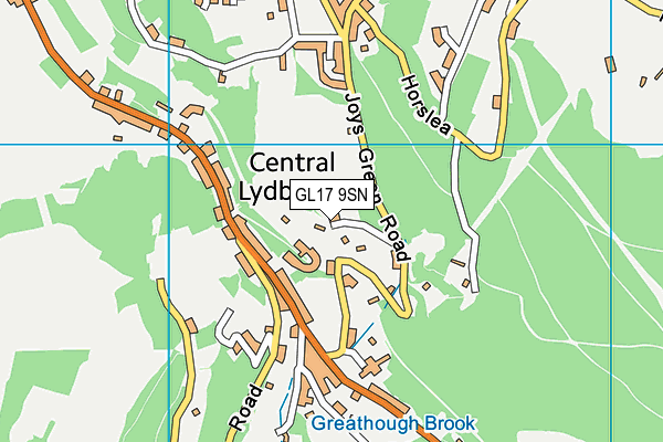 GL17 9SN map - OS VectorMap District (Ordnance Survey)