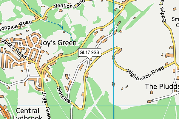 GL17 9SS map - OS VectorMap District (Ordnance Survey)