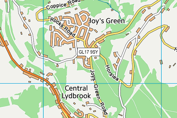 GL17 9SY map - OS VectorMap District (Ordnance Survey)
