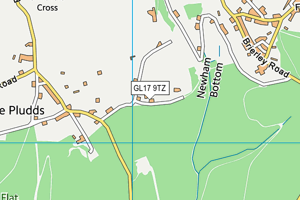 GL17 9TZ map - OS VectorMap District (Ordnance Survey)