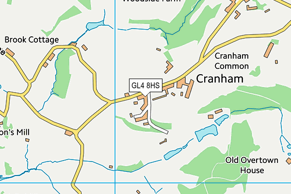 Cranham Church of England Primary School map (GL4 8HS) - OS VectorMap District (Ordnance Survey)