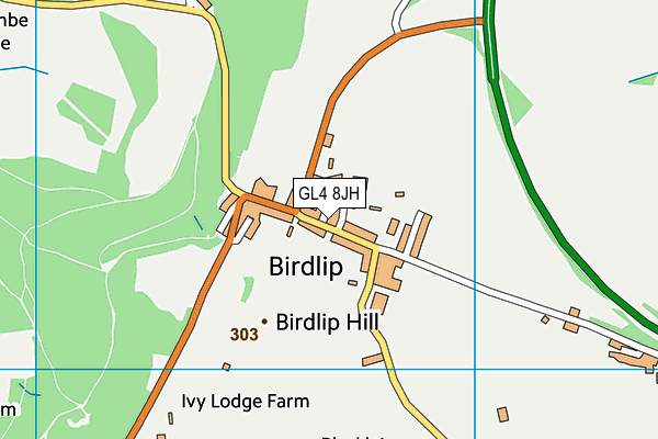 Sinclair Field map (GL4 8JH) - OS VectorMap District (Ordnance Survey)