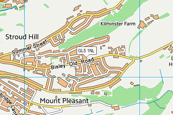 Sladewood Academy map (GL5 1NL) - OS VectorMap District (Ordnance Survey)