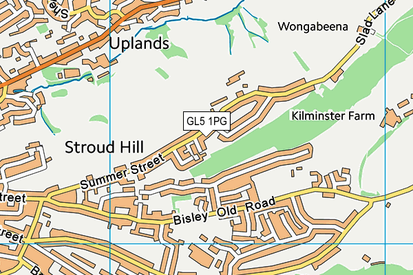 GL5 1PG map - OS VectorMap District (Ordnance Survey)