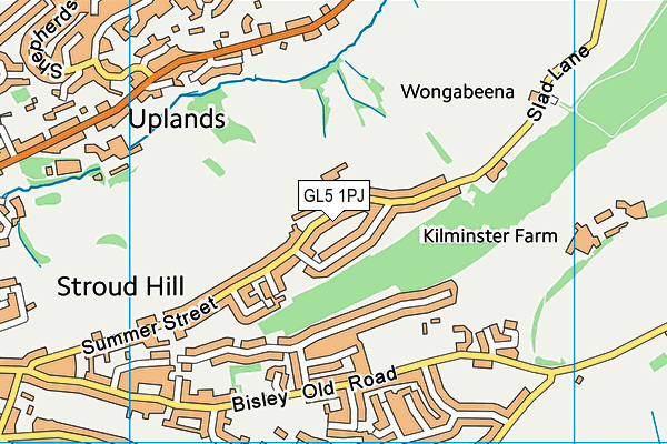 GL5 1PJ map - OS VectorMap District (Ordnance Survey)