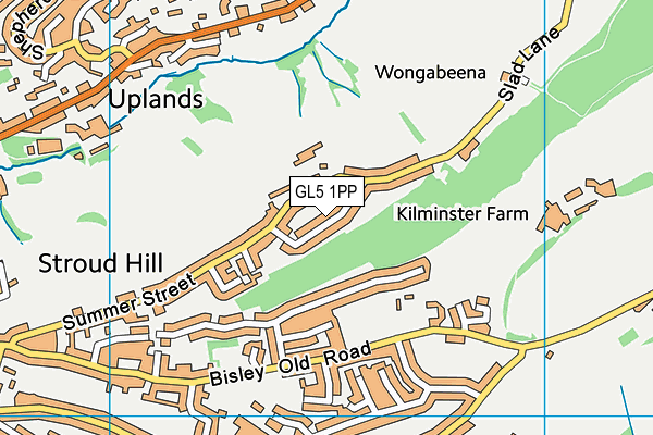 GL5 1PP map - OS VectorMap District (Ordnance Survey)