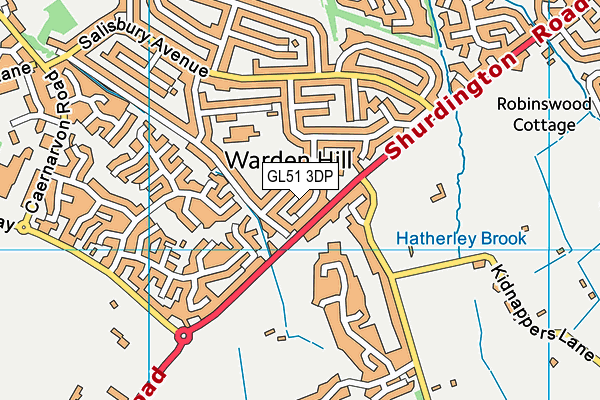 GL51 3DP map - OS VectorMap District (Ordnance Survey)