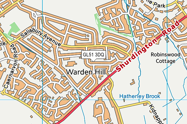 GL51 3DQ map - OS VectorMap District (Ordnance Survey)