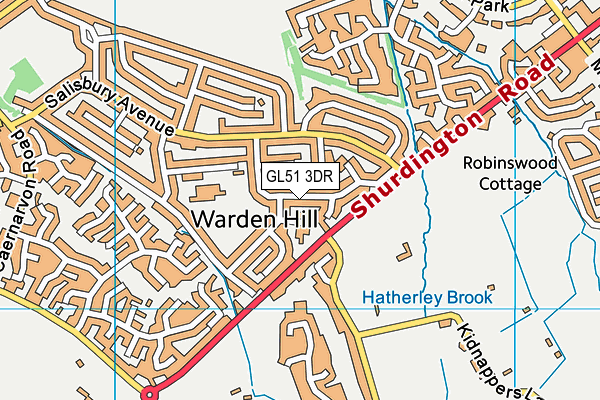 GL51 3DR map - OS VectorMap District (Ordnance Survey)