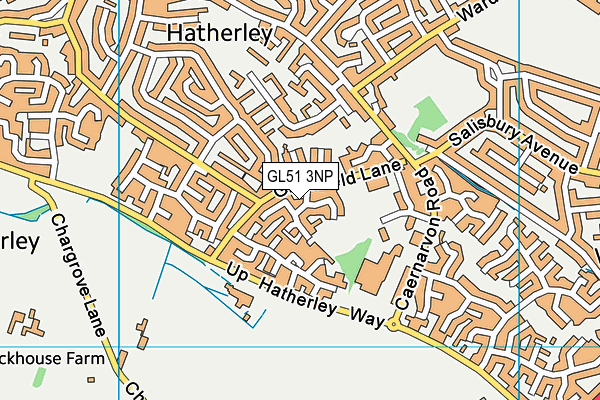 GL51 3NP map - OS VectorMap District (Ordnance Survey)