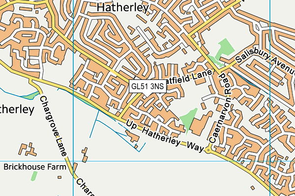 GL51 3NS map - OS VectorMap District (Ordnance Survey)