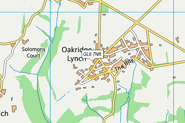 Oakridge Parochial School map (GL6 7NR) - OS VectorMap District (Ordnance Survey)