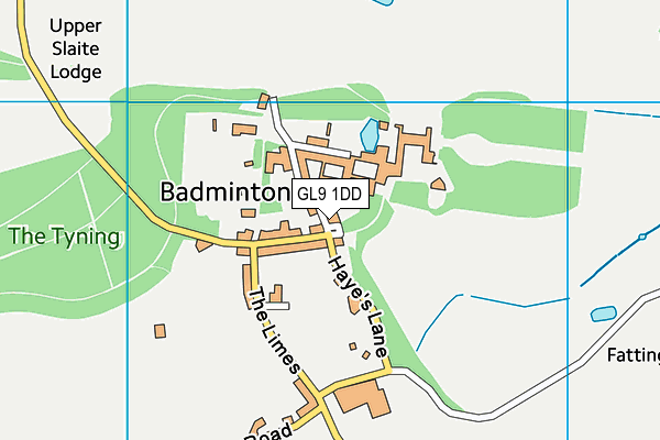 Badminton Playing Field map (GL9 1DD) - OS VectorMap District (Ordnance Survey)