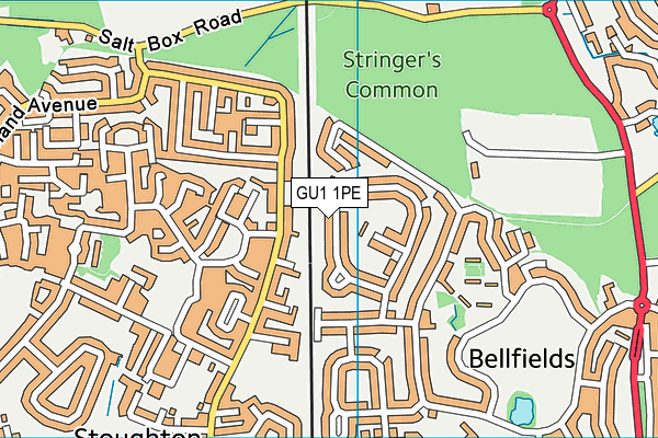 GU1 1PE map - OS VectorMap District (Ordnance Survey)