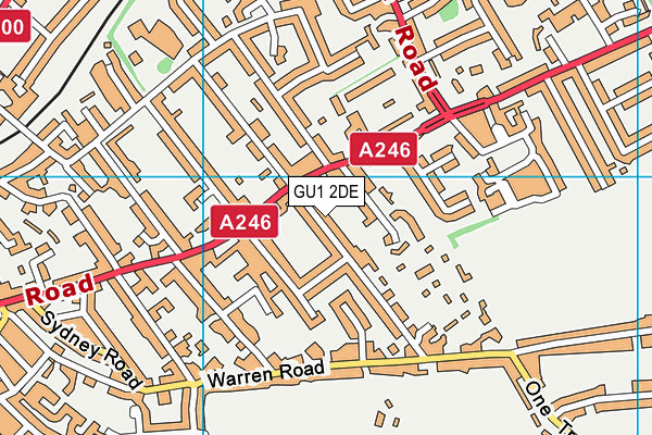 GU1 2DE map - OS VectorMap District (Ordnance Survey)