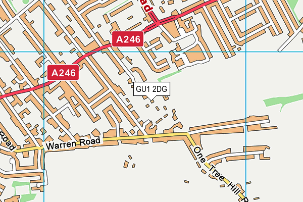 GU1 2DG map - OS VectorMap District (Ordnance Survey)