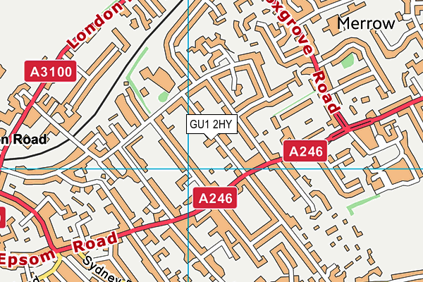 GU1 2HY map - OS VectorMap District (Ordnance Survey)