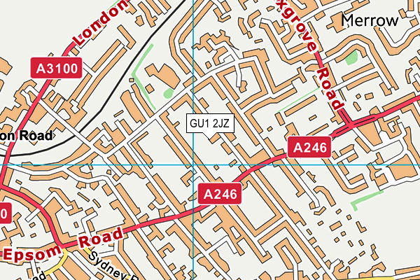 GU1 2JZ map - OS VectorMap District (Ordnance Survey)