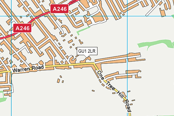 GU1 2LR map - OS VectorMap District (Ordnance Survey)