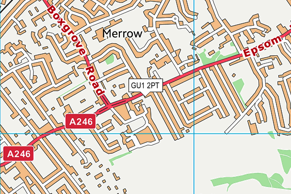 GU1 2PT map - OS VectorMap District (Ordnance Survey)