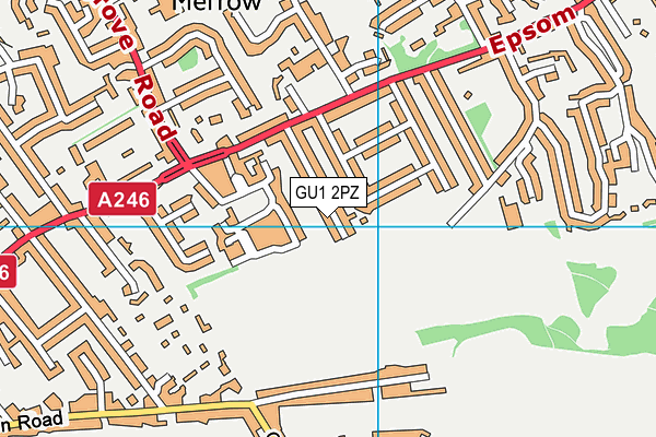 GU1 2PZ map - OS VectorMap District (Ordnance Survey)