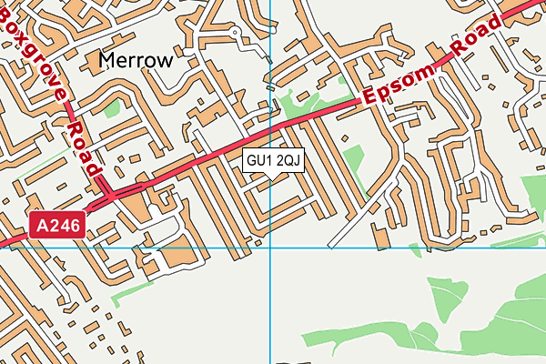 GU1 2QJ map - OS VectorMap District (Ordnance Survey)