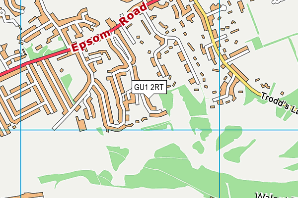 GU1 2RT map - OS VectorMap District (Ordnance Survey)