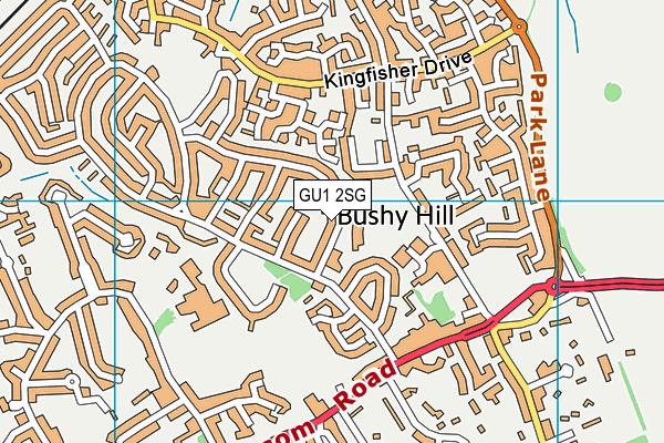 Bushy Hill Junior School map (GU1 2SG) - OS VectorMap District (Ordnance Survey)