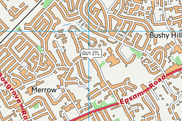 GU1 2TL map - OS VectorMap District (Ordnance Survey)