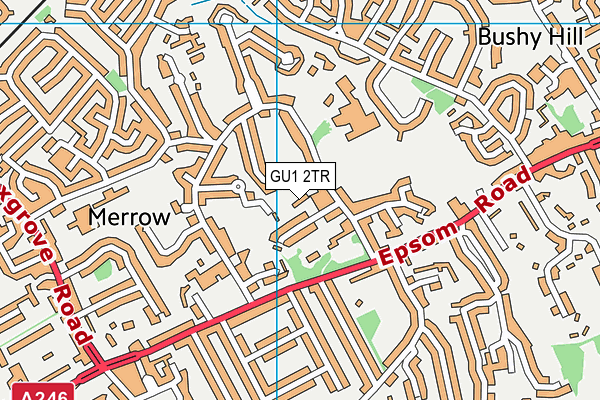 GU1 2TR map - OS VectorMap District (Ordnance Survey)