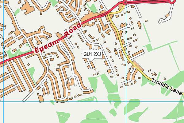GU1 2XJ map - OS VectorMap District (Ordnance Survey)
