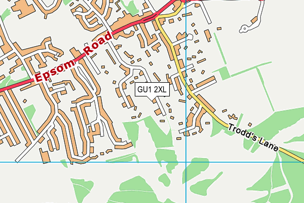 GU1 2XL map - OS VectorMap District (Ordnance Survey)