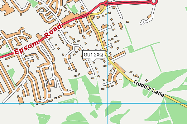 GU1 2XQ map - OS VectorMap District (Ordnance Survey)