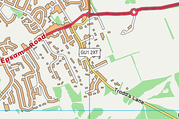 GU1 2XT map - OS VectorMap District (Ordnance Survey)