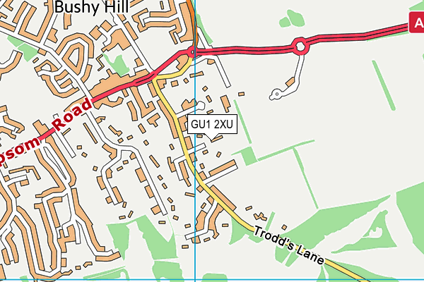 GU1 2XU map - OS VectorMap District (Ordnance Survey)