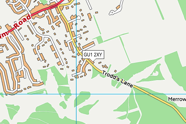 GU1 2XY map - OS VectorMap District (Ordnance Survey)