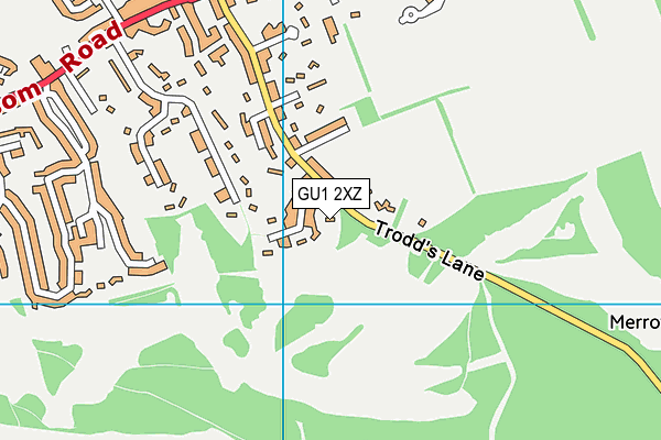 GU1 2XZ map - OS VectorMap District (Ordnance Survey)